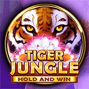 Kim Cương Vĩnh Cửu slot game